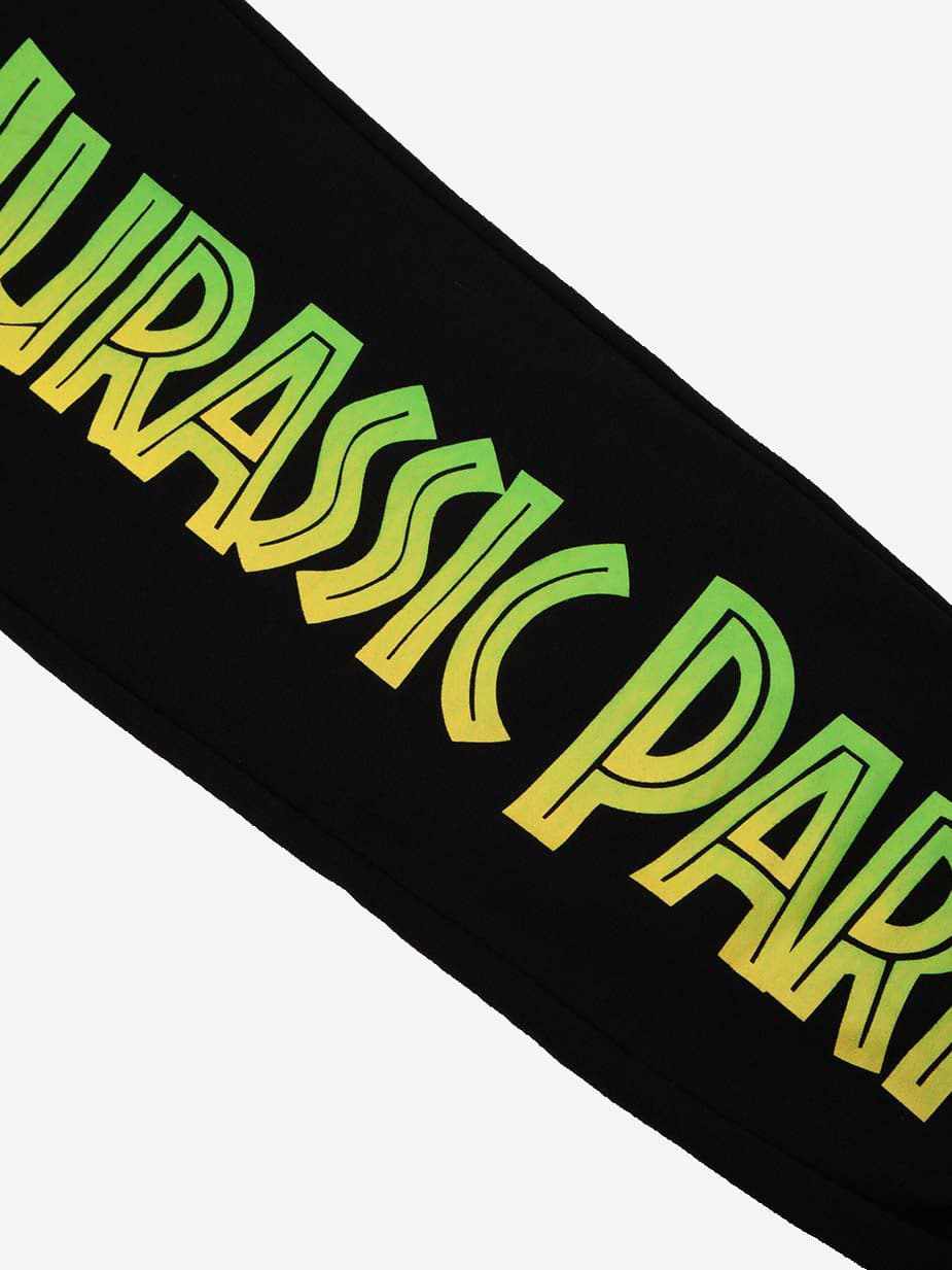 Dumbgood good Jurassic Park Panel Split Hoodie and Sweatpants both size XS