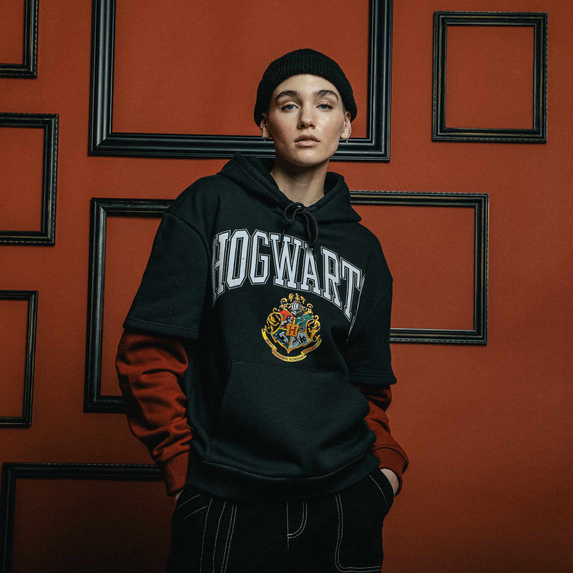 Draco champion hoodie online