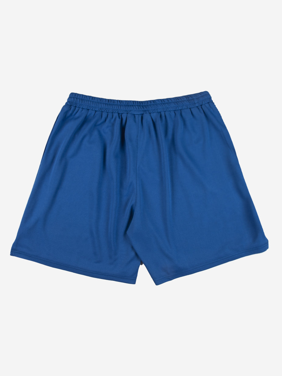 Blue Mesh Shorts
